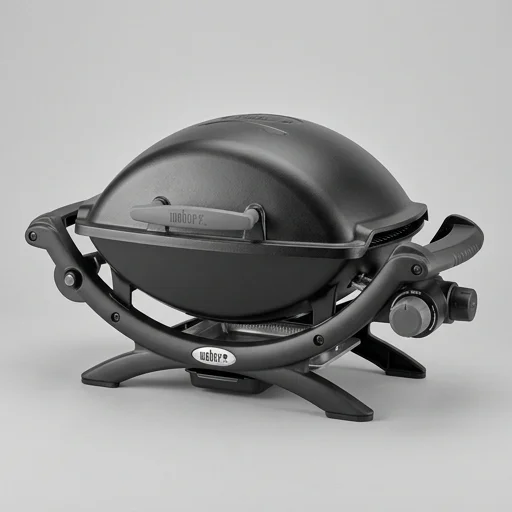 Weber Q1200 Portable Gas Grill